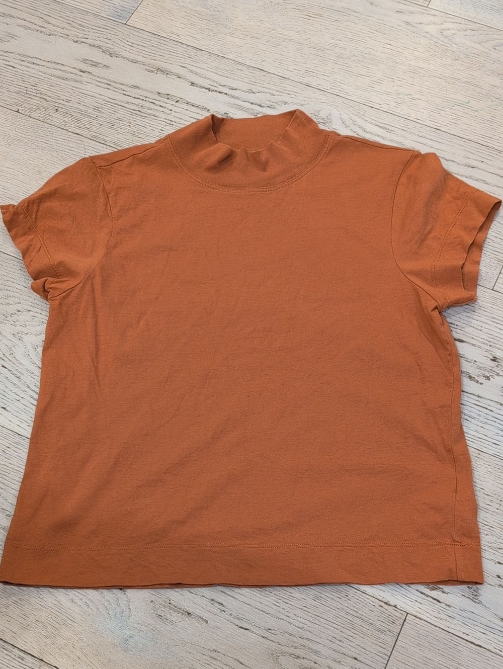 Everlane Short Sleeve Turtle Neck Tee In Cider